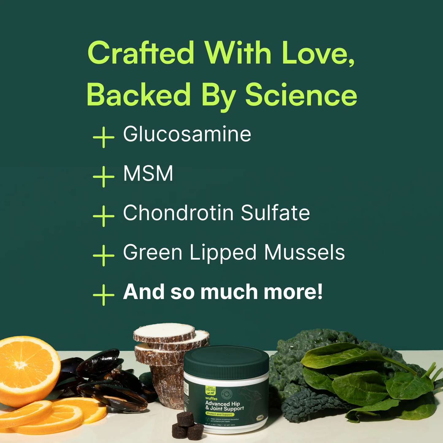 Advanced Hip & Joint Support