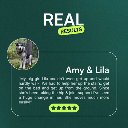 Advanced Hip & Joint Support