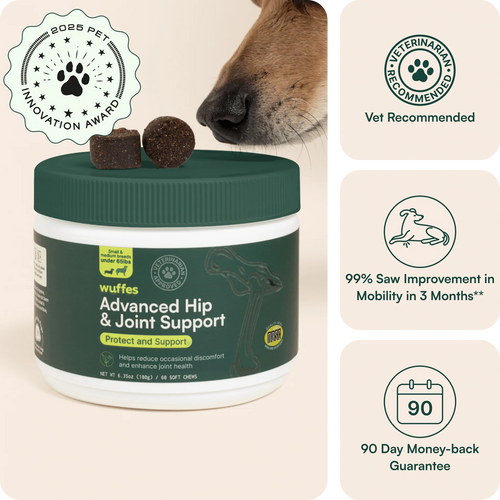 Advanced Hip & Joint Support