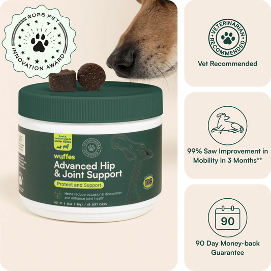 Advanced Hip & Joint Support